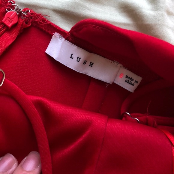 Lulus Dress - Picture 5 of 5